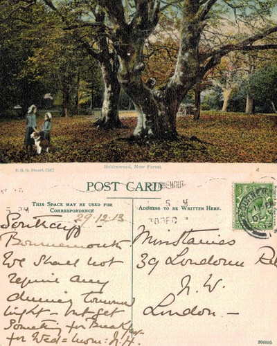 Vintage postcard boldrewood - vintage,