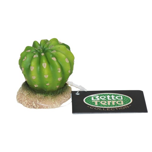 Betta terra round green - betta,
