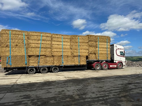 Wheat straw bales string - straw, 6