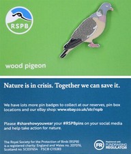 Rspb pin badge niic - rspb,