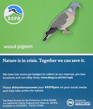 RSPB Pin Badge NIIC Wood Pigeon P03144