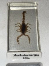 Incomplete Real Life Bugs And