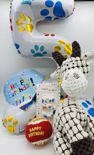 Pet birthday surprise - birthday,