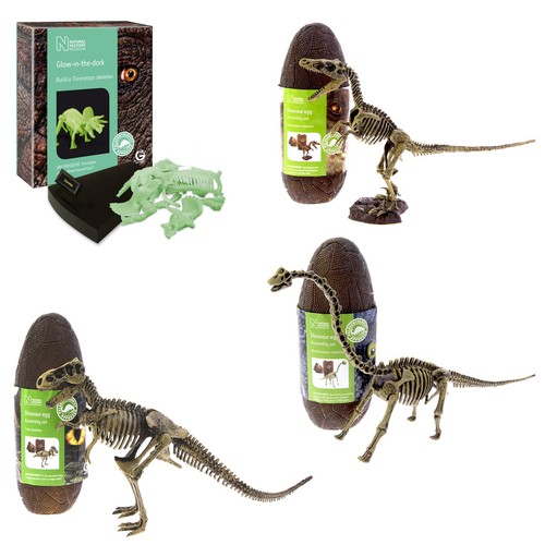 Dinosaur model construction - model,