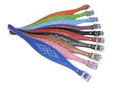 Leather Whippet Greyhound