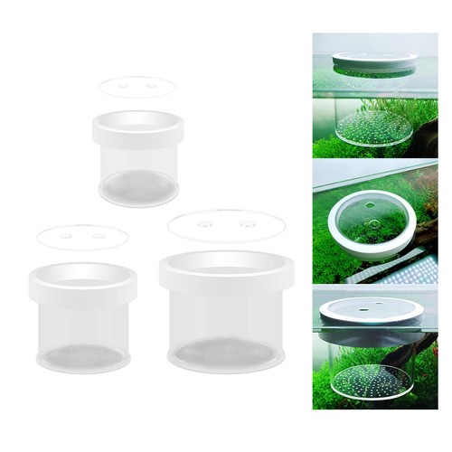 Fish breeder box - breeder,