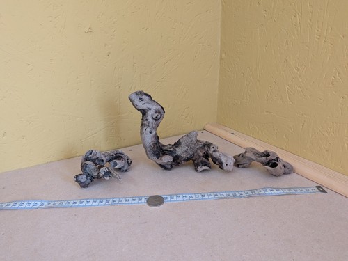 126 sculptured driftwood - sculptured,