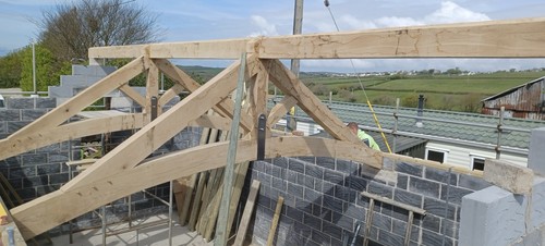 Raise curved green oak - or,