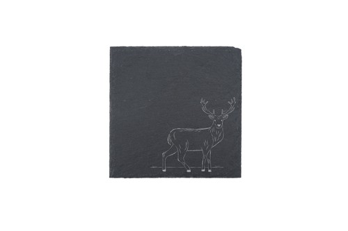 The highlands stag - highlands, square