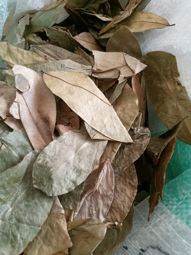 Dried soursop - dried,