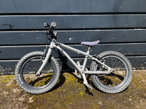 Early rider belter - 16", kids