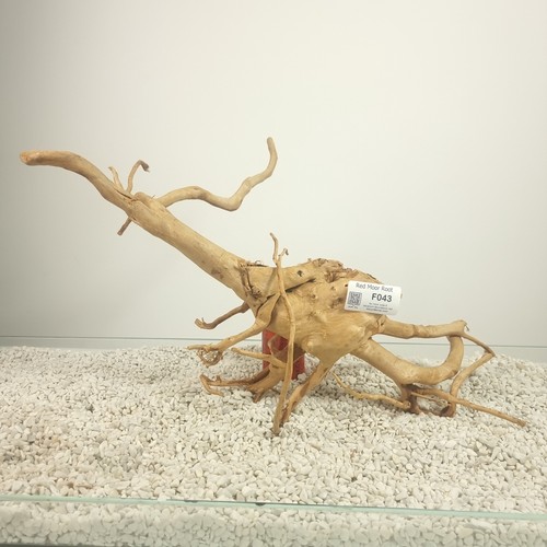 Aquarium wood driftwood red - driftwood,