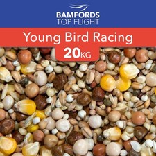 Bamfords Top Flight Young Bird