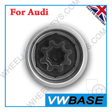 for Audi Security Master