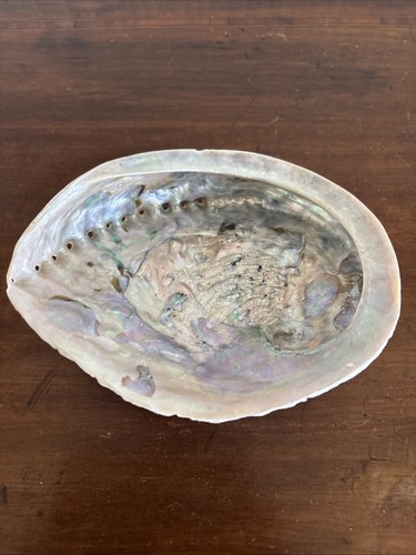 Pretty abalone shell - pretty,