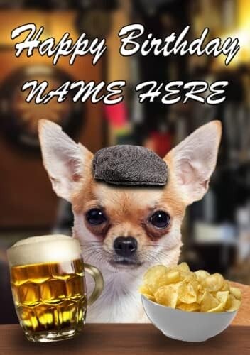 Chihuahua dog pub - chihuahua, pint