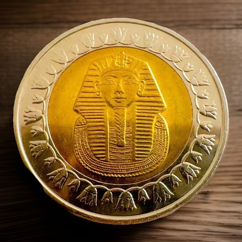 Egyptian one pound coin king - pound,