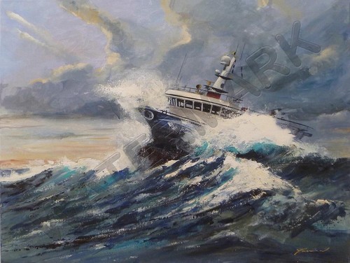 88072 van hove through - through, the