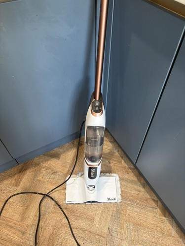 Shark steamspot with - shark,