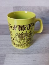 Staffordshire Potteries Prince Of Wales Royal Investiture 1969 Made In England