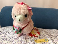 Alpacasso Cutie Kids 2