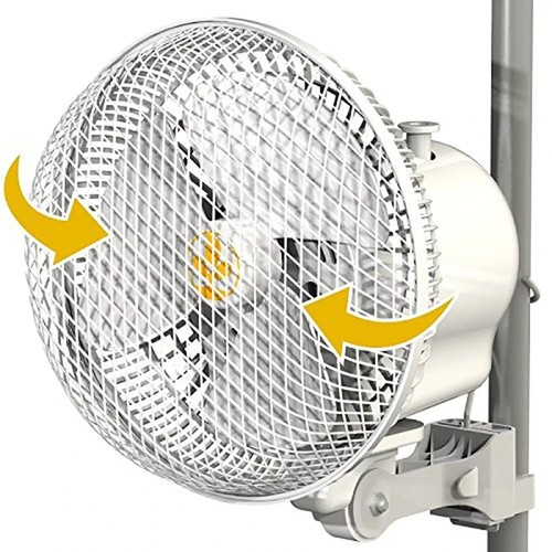 Secret jardin monkey fan 16w - secret,