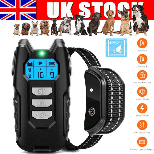 Dog pet training - pet, collar