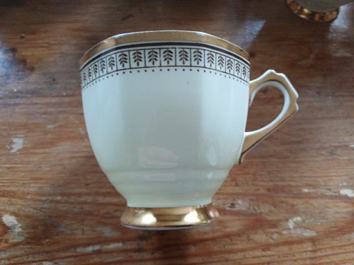 Vintage plant tuscan china - vintage,