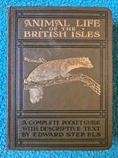 Wayside & Woodland, Animal