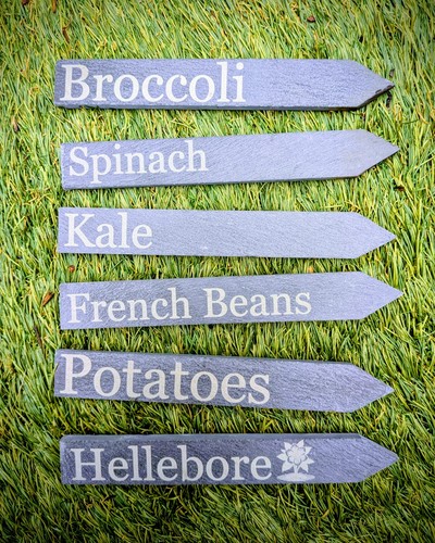 Slate plant markers - slate,