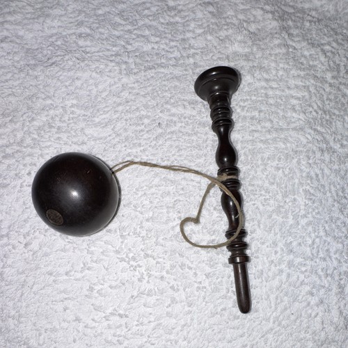 Rare 19th century lignum vitae - lignum,