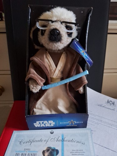 Meerkat sergei obi wan - as,