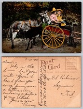 Children Donkey Carriage Ride