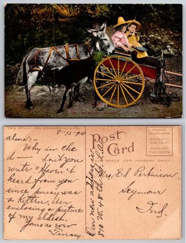 Children donkey carriage ride - donkey,
