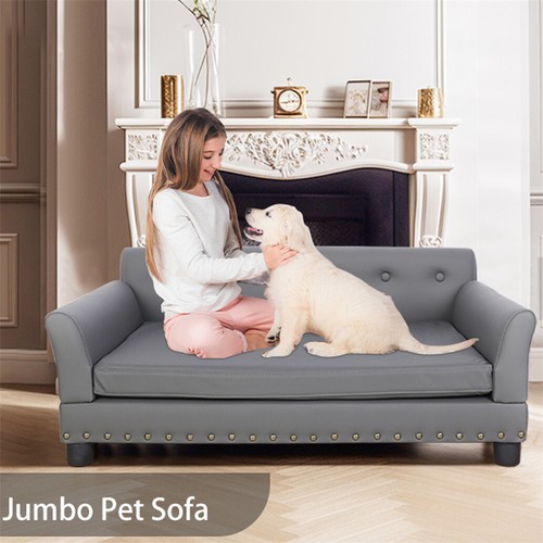 Xxl large leather dog - xxl,