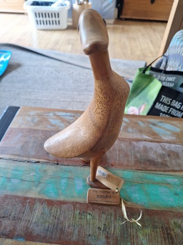Dcuk the duck - the,