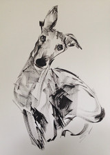 Original signed Ink sketch of a Whippet Greyhound Lurcher A3