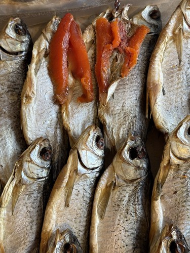 Stockfish roach lat rutilus - roach, (lat.