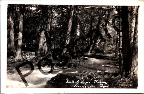 1944 guadalupe river - 1944,