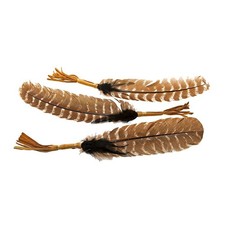 Eagle-Style Smudging Feather