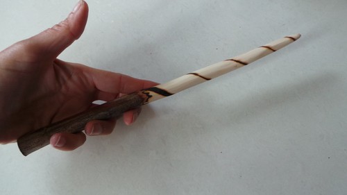 Blackthorn wood wand tree - blackthorn,