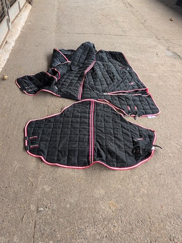 Premier equine lucanta stable - equine,
