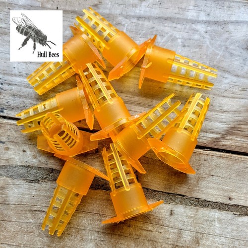 Plastic bee queen - bee,