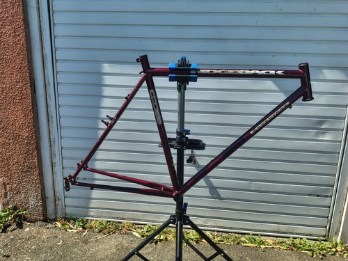 Retro ridgeback adventure - retro,