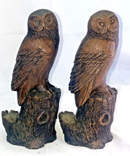 A Pair Of Owls Bird