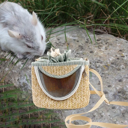 Small pet bag knapsack - pet,