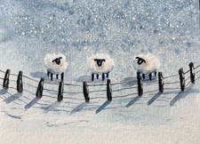 Original Watercolour Sheep In