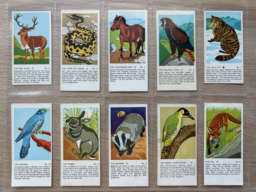 Complete set lyons maid - complete, of