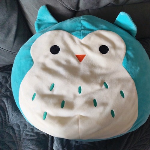 Wise old owl squishmallow - wise,