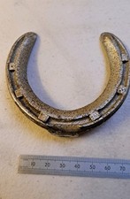 SHOW JUMPING HORSE BOX CHROME